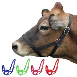 Derby Originals Adjustable Nylon Livestock Cattle Halters Available In Multiple Colors, Black, X-Large (1400-2000+Lbs) (90-9050Bk-St)