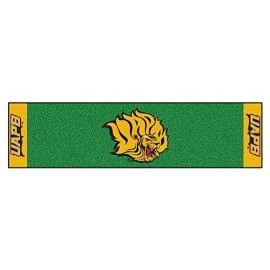 Fanmats 18717 Ncaa University Of Arkansas At Pine Bluff Putting Green Mat