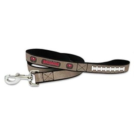 NFL Tampa Bay Buccaneers Reflective Football Leash, Small, Silver