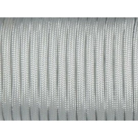 7 Strand Core 550Lb Paracord Parachute Cord Lanyard Mil Spec Type Iii-100Ft (Silver Gray(2#))