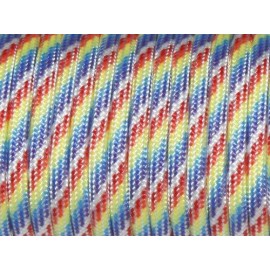 7 Strand Core 550Lb Paracord Parachute Cord Lanyard Mil Spec Type Iii-100Ft (Rainbow Color(27#))