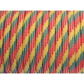 7 Strand Core 550Lb Paracord Parachute Cord Lanyard Mil Spec Type Iii-100Ft (Red+Green+Yellow(81#))