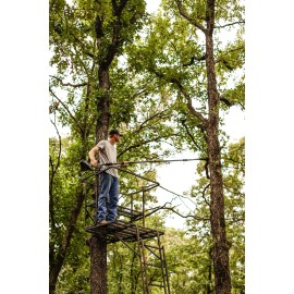 Hooyman Cordless 40 Volt Pole Saw with In-Line 8in Saw, Auto-Oiler, 40V Battery with Charge Indicator, Ergonomic Grip, and Carry Case for Cutting, Tree Trimming, Hunting, Camping, and Outdoors