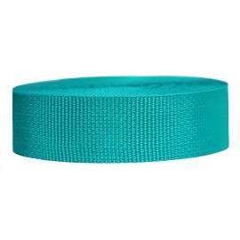 Strapworks Lightweight Polypropylene Webbing - Poly Strapping for Outdoor DIY Gear Repair, Pet Collars, Crafts - 1.5 Inch x 10 Yards - Teal