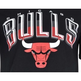Ultra Game -NBA Chicago Bulls Mens Arched Plexi Short Sleeve Tee Shirt, Black, Large