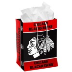 Forever Collectibles Nhl Chicago Blackhawks Gift Bagmedium Gift Bag Team Colors Medium
