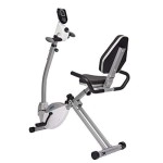 Stamina Recumbent Exercise Bike With Upper Body Exerciser | Adjustable Tension | Lcd Monitor Tracks Metrics