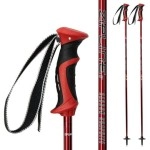 Ski Poles Graphite Carbon Composite - Zipline Lollipop U.S. Ski Team Official Supplier (Cherry Red, 42