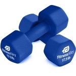 Fitness Alley Neoprene Coated 17.5Lb Workout Dumbbells Set Of 2 - Anti Roll, Non Slip With Smooth Grip Fitness & Exercise Dumbbells - Hexagon Shaped Hand Weights For Women & Men - Best Choice For Gyms & Home Use