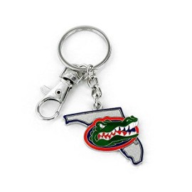 Aminco Ncaa Florida Gators Heavyweight Home State Design Keychain , 5