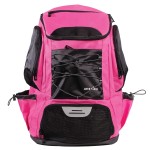 Athletico Swim Backpack - Pool Bag With Wet & Dry Compartments For Swimming, The Beach, Camping And More (Pink)