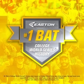 EASTON SPEED -3, BBCOR Baseball Bat, 2 5/8 Barrel, 32/29, BB19SPD