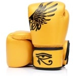 Fairtex Bgv1 Muay Thai Boxing Training Sparring Gloves (Falcon Gold, 8 Oz)