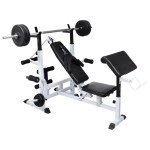 Vidaxl Weight Bench With Weight Rack Barbell And Dumbbell Set 264.6 Lb