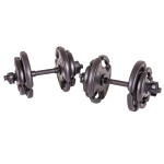 The Step Fitness Adjustable Dumbbell Set, 35 Lbs With Dumbbell Bars, Collars, And Weights