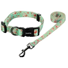 Ihoming Dog Collar And Leash Set For Daily Outdoor Walking Running Training, Floral Greenlake Design For Large Boys Girls Dogs Cats Pets, L-Up To 80Lbs