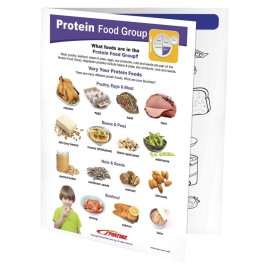 Protein Food Group Visual Learning Guide Grades 1-4