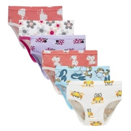 Barara King Girls Undies 100 Cotton Panties Little Girls Soft Underwears Kids Briefs (Pack Of 6) Size 3T 4T