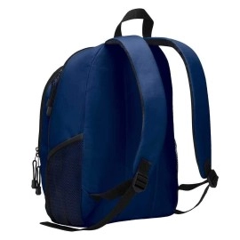 Northwest NFL Seattle Seahawks Backpacklightning Backpack, Team Colors, One Size