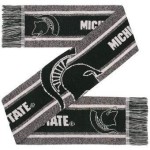 Michigan State Gray Big Logo Scarf