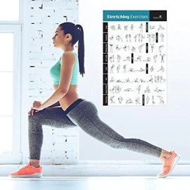 NewMe Fitness Workout Posters for Home Gym, Stretching Exercise Posters for Full Body Workout, Core Abs Legs Glutes & Upper Body Training Program
