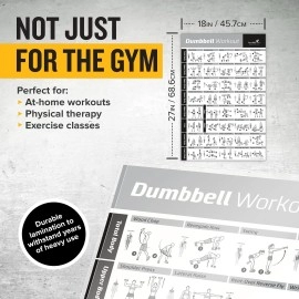 NewMe Fitness Workout Posters for Home Gym, Dumbbell Exercise Posters for Full Body Workout, Core Abs Legs Glutes & Upper Body Training Program (Vol 1)