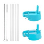 Iron Flask Carabiner Straw Lid For Wide Mouth Insulated Sports Water Bottles, Simple Bpa Free, 2 Lids, 4 Straws, 2 Cleaning Brushes (Aquamarine)
