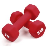 Portzon Set Of 2 Neoprene Dumbbell Hand Weights, Anti-Slip, Anti-Roll , Red , 5-Pound