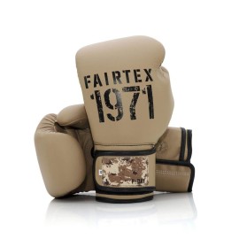 Fairtex Bgv25 Muay Thai Boxing Gloves For Men, Women Kids Mma Gloves For Martial Artsmade From Micro Fiber Is Premium Quality, Light Weight Shock Absorbent 14 Oz Boxing Gloves-Day2
