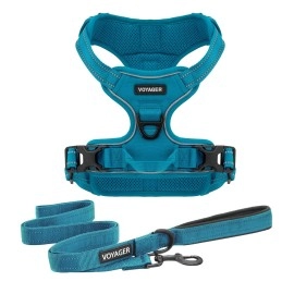 Voyager Dog Harness Dual Leash Attachment No-Pull Control Adjustable Soft But Strong Pet Harness For Medium And Large Dogs With 3M Reflective Technology - Harness Leash Set (Turquoise), S