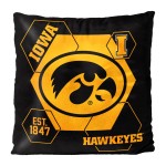 The Northwest Company Ncaa Iowa Hawkeyes Velvet Pillow, 16