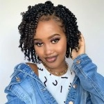 The Bohobabe Pre-Twisted Passion Twist Crochet Hair 6 Inch Short Pre-Looped Crochet Passion Twist Braiding Hair 8 Packs (1)