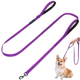 Puppydoggy Dog Leash For Small To Medium Dogs 6 Ft With 3 Reflective Stitching And 2 Traffic Padded Handles Dog Leadrope, Pet Leash For Running Walking Training (6 Ft X 06 In - Purple 1 Pack)