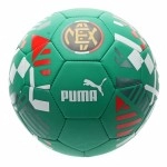 Puma Ftblcore Fan Ball