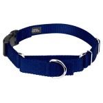 Country Brook Petz - Royal Blue Heavyduty Nylon Martingale With Deluxe Buckle - 30 Vibrant Color Options (58 Inch, Extra Small)