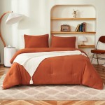 Litanika Burnt Orange Queen Size Bed Comforter Set, 3 Pieces Terracotta Lightweight Solid Bedding Set Collections, All Season Microfiber Down Alternative Comforter (1 Comforter, 2 Pillowcases)