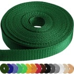 Teceum 1 Inch Webbing - Forest Teal Green - 25 Yards - 1A Webbing For Climbing Outdoors Indoors Crafting Diy Nw