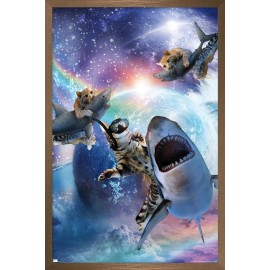 Trends International James Booker - Galaxy Cat Sharks Wall Poster