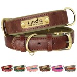 Beirui Personalized Soft Padded Leather Dog Collar - Custom Heavy Duty Dog Collars With Durable Metal Hardware - Stylish Adjustable Dog Collar Leather For Small Medium Large Dogs (Brown, Neck 9-13)