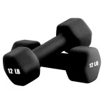 Portzon Weights Dumbbells 10 Colors Options Compatible With Set Of 2 Neoprene Dumbbells Set,1-15 Lb, Anti-Slip, Anti-Roll, Hex Shape