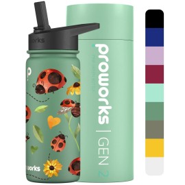 Proworks Gen 2 Insulated Water Bottles With Straw Lid, 540Ml Stainless Steel Water Bottle, 24 Hours Cold, 12 Hours Hot Drinks, Metal Leakproof Flask For Gym, Travel - Pine Green - Ladybird