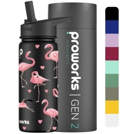 Proworks Gen 2 Insulated Water Bottles With Straw Lid, 1L Stainless Steel Water Bottle, 24 Hours Cold, 12 Hours Hot Drinks, Metal Leakproof Flask For Gym, Travel - Jet Black - Flamingo