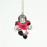 Tampa Bay Buccaneers Ornament 3 Inch Crystal Halfback Co