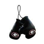 Georgia Bulldogs Boxing Gloves Mini Co