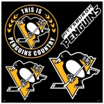 Pittsburgh Penguins Magnet Kit 4 Piece Co