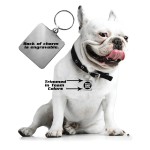 Chicago Bulls Pet Collar Charm