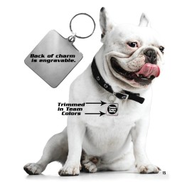 Chicago Bulls Pet Collar Charm