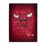 Chicago Bulls Blanket 60X80 Raschel Street Design