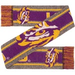 Lsu Tigers Scarf Big Logo Wordmark Gray