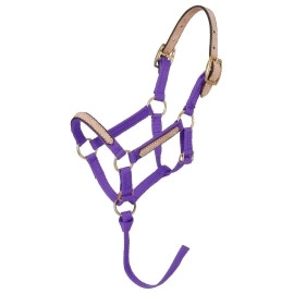 Tough 1 Miniature Nylon Break-Away Halter, Purple, Large